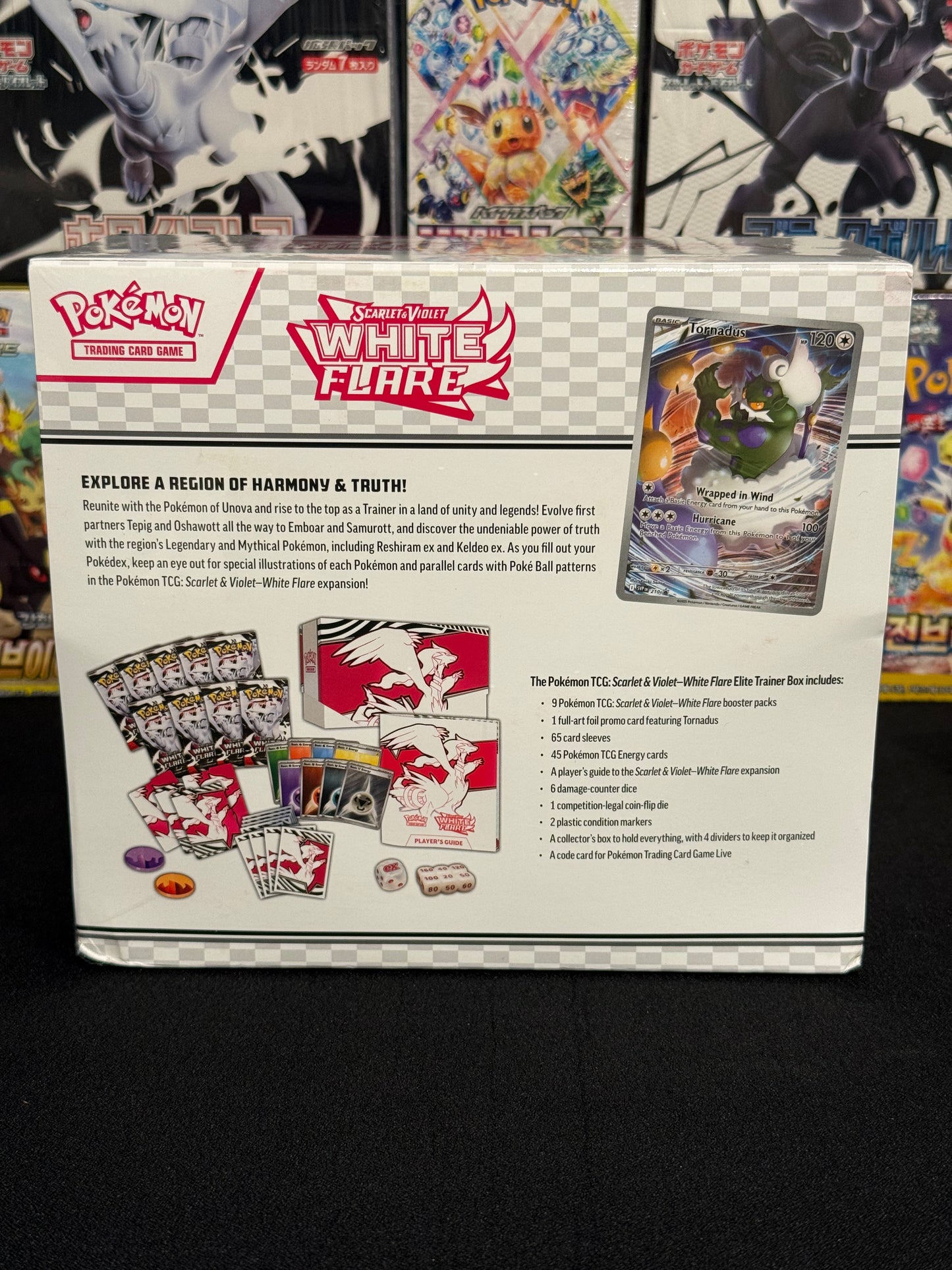 ENGLISH White Flare ETB (WHT)